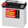 Coupon 🤩 Hot Sale ⭐ Magna Power Power Sport AGM Battery 220 CCA 🎁 👏 -Ranch Shop img10633521