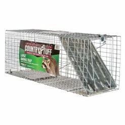 Top 10 😍 Coupon 👏 Country Tuff® Raccoon Cage Trap ⭐ 😍