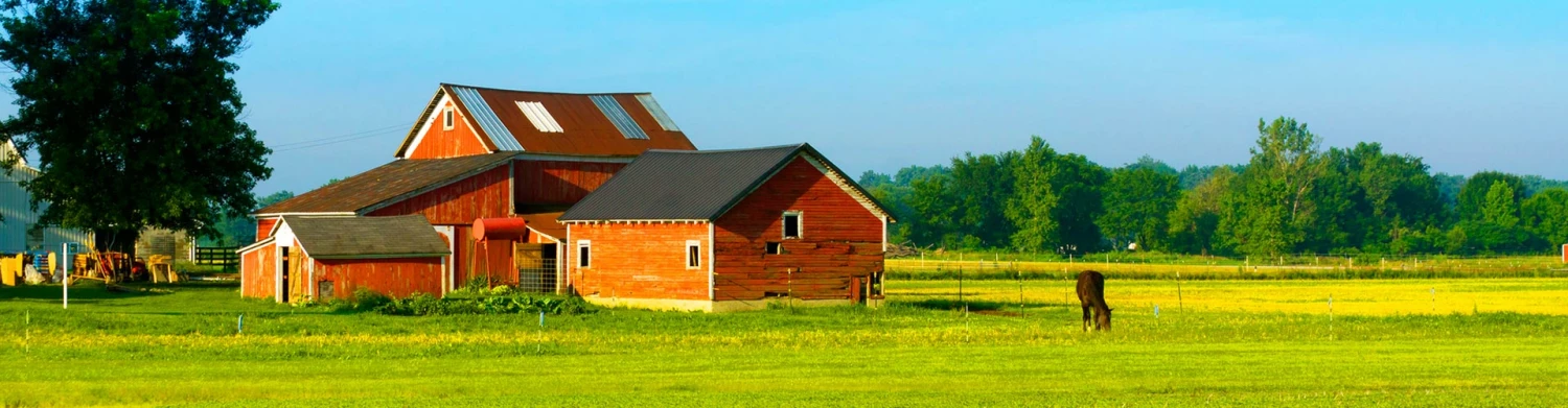 Ranch Shop -Ranch Shop q0